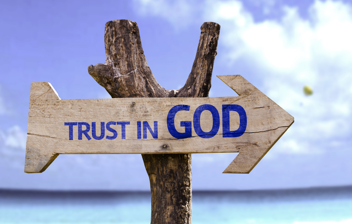 a14a442d-2f33-4f9e-9e2a-09de07425aba.png